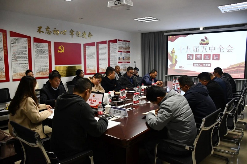 1608175793234233.jpg 1.jpg